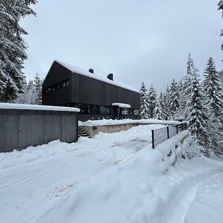 Chalet Dachstein Ramsau am Dachstein Εξωτερικό φωτογραφία