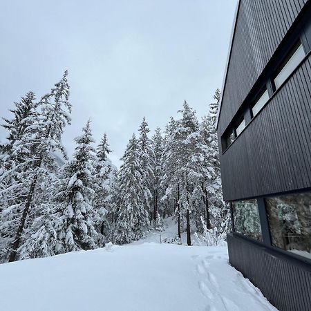 Chalet Dachstein Ramsau am Dachstein Εξωτερικό φωτογραφία